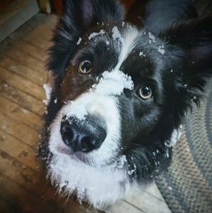 Meet your Posher, Janie